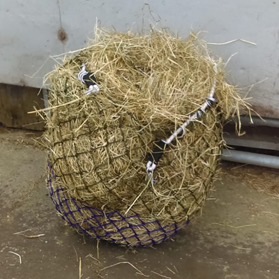 40 inch Purple/Green Easy-Net Hay Net