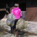 34 inch Blue/Green Piggy PonyFeeder Easy-Net Hay Net